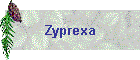 Zyprexa