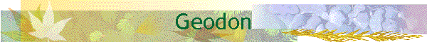 Geodon