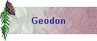 Geodon