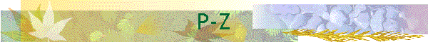 P-Z